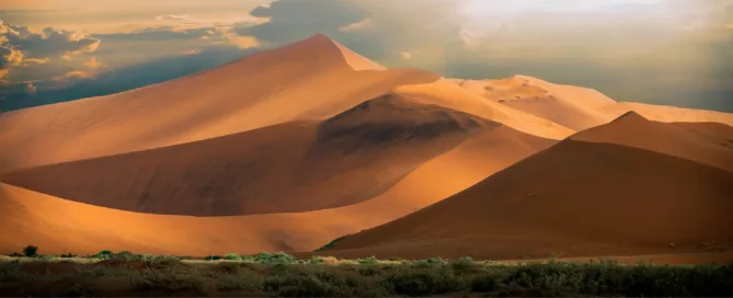 top Namibia safari tours with guided game drives