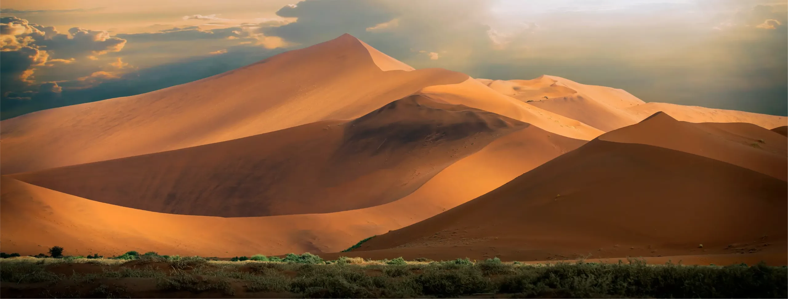 top Namibia safari tours with guided game drives